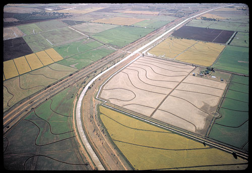 Murrumbidgee Irrigation Area rice paddies, 1966