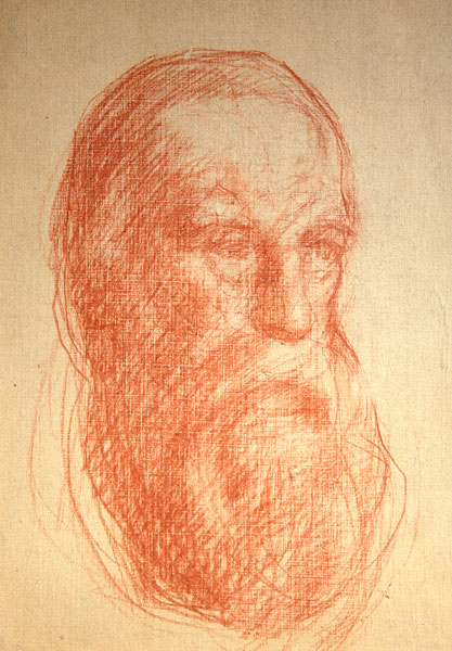 Portrait of the American painter Albert Ryder