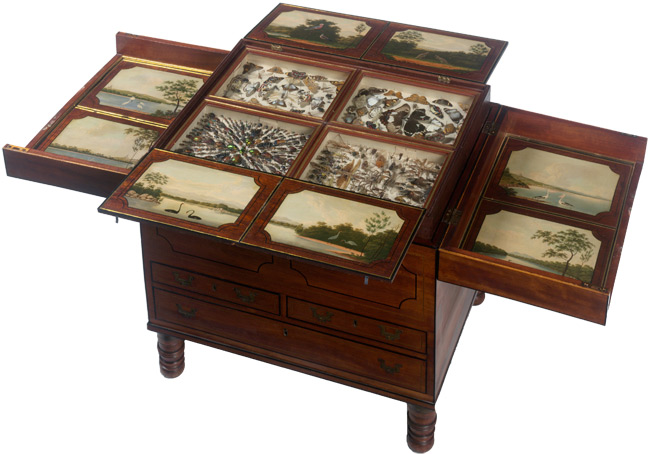 Macquarie Collector&rsquo;s Chest