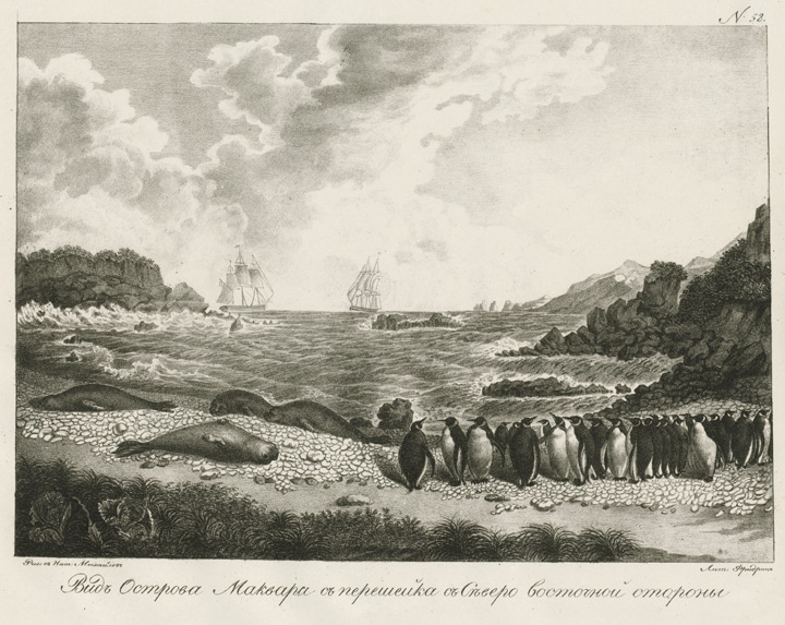Garden Cove, Macquarie Island, 1820