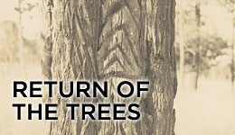 Return of the trees