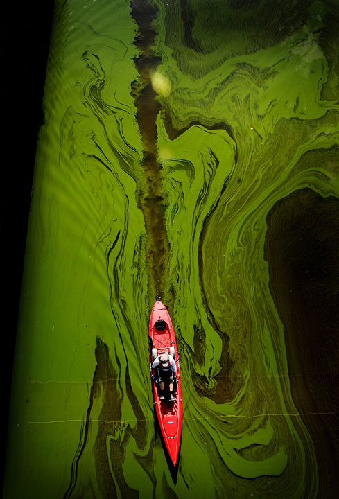 Kayaker Sarra Pitman makes her way through toxic algae under the Kings Avenue Bridge