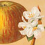 Apples: Reinette Jaune Hative and Stone Pippin, H. S. Burton, Lithographer