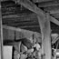 Shed interior from Series 04: [Hawkesbury Agricultural College : buildings, farm equipment and activities, ca. 1900-1950]
