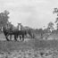Female students ploughing from Series 14: [Land preparation and harvesting, ca. 1900-1950] / Hawkesbury Agricultural College