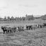 Field preparation from Series 14: [Land preparation and harvesting, ca. 1900-1950] / Hawkesbury Agricultural College