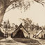 Typical Tents, Leeton 