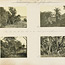 Page 31 - Album 57, 2nd May 1911 - 7th October 1911