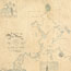 Port Hunter and its branches, New South Wales, manuscript map