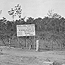 55 Avelong Estate, Turramurra from Series 03: Panoramic negatives of Sydney and surrounding suburbs, 1921-1925