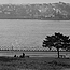 PFA site [looking to Milsons Pt. & Kirribilli from Dawes Pt.] from Series 03: Panoramic negatives of Sydney and surrounding suburbs, 1921-1925