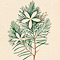 Various botanical drawings