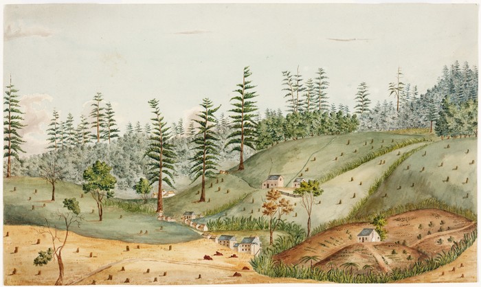 A view of Queenborough on Norfolk Island