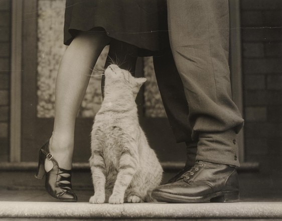 Soldier’s goodbye and Bobbie the cat, Kensington, 8 March 1941