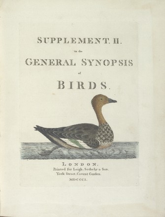 Supplement II to the General synopsis of birds