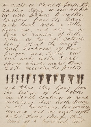 Guide to and description of the Binda or Fish River Caves by George Rawson, c. 1882