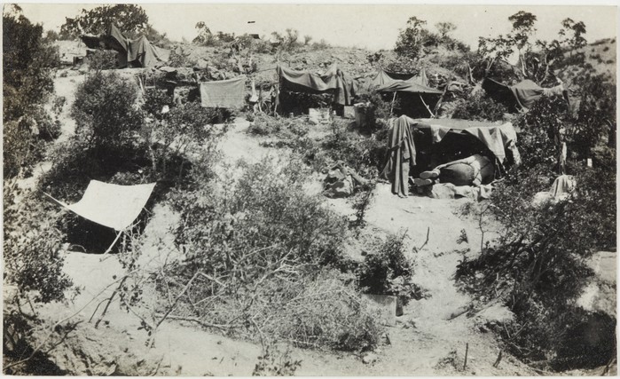 Australian Imperial Forces at Gallipoli, 1915