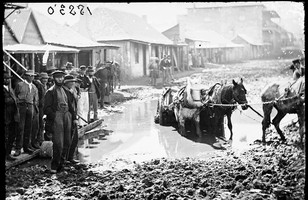 Horse and cart bogged in what was originally a gold digging outside Meares flooded Criterion Store, Clarke Street, Hill End