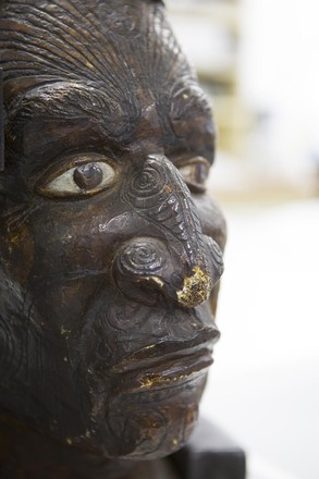 Male Maori head