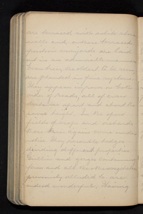 WJA Allsop diary, June 1916