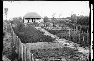 Couple on the veranda of their house with large front garden (from a distance), Hill End
