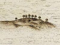 Sydney Cove …, 1789