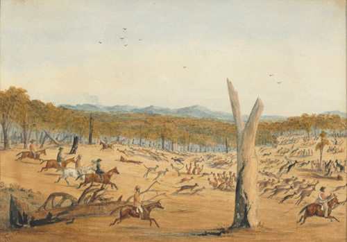 Driving in Kangaroos, ca.1870s. Watercolour. ML 1409