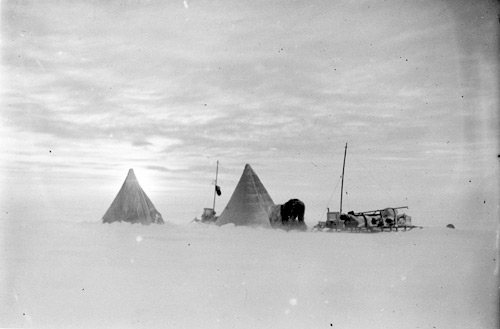 Camp on the plateau; southern journey, 1912, by Frank Hurley ON 144/H615