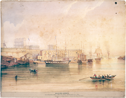 Shipping Horses for the Government of India at Millers Point Wharf - Darling Harbour N.S. Wales, ca. 1847, by Frederick Garling. Watercolour. DG SV1A/9