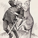 Boxing kangaroo - Hal Eyre