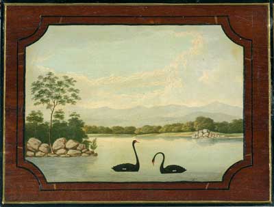 This panel depicts a pair of black swans. 