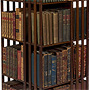 David Scott Mitchell's revolving bookcase