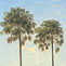 Cabbage trees near the Shoalhaven River, 1860