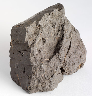 Sample of soil from the Sydney Cricket Ground pitch
