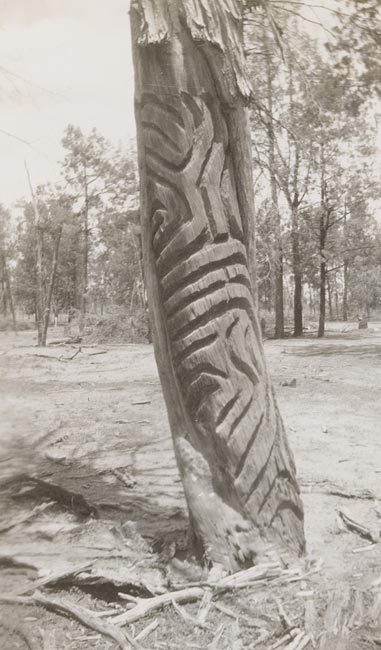Album 11: Photographs of Aboriginal rock art and stencil art, stone tools and landscapes