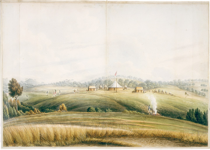 The Plains, Bathurst by John Lewin